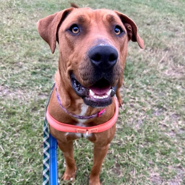 Photo of Athena 