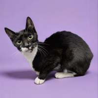 Photo of Squidette