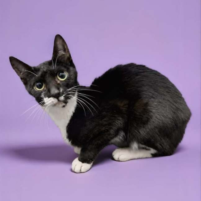 Photo of Squidette