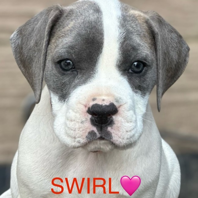 Photo of Indu Litter