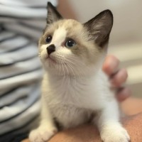 Photo of 🤎 Koby 🤎