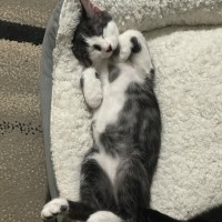 Photo of Kaleb 🧵😻