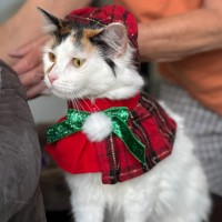 Photo of Miss Lizzie