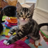 Photo of Caspian 💙