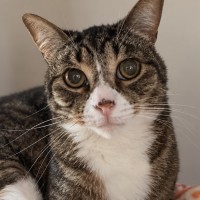 Photo of Skip