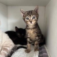 Photo of Pocket