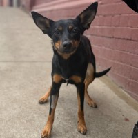 Photo of Coco