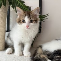Photo of Mario