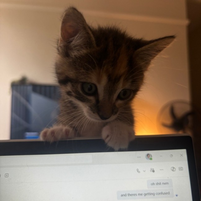 Photo of Mabel