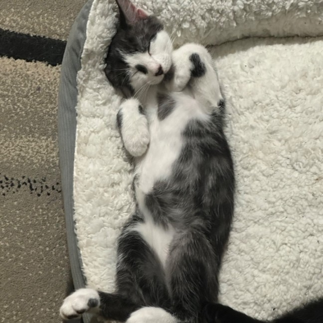 Photo of Kaleb 🧵😻