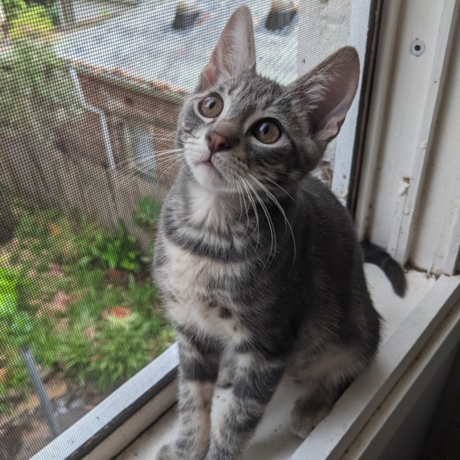 Photo of Poco