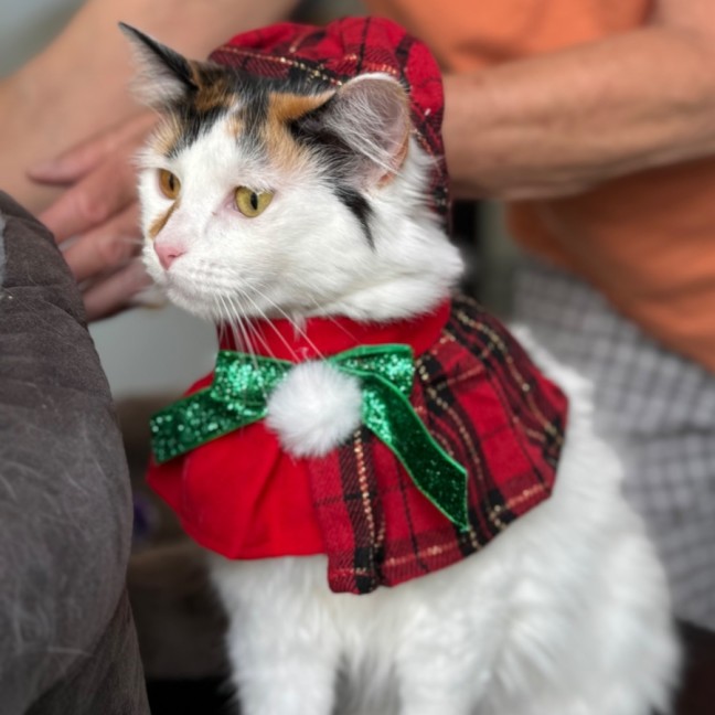 Photo of Miss Lizzie