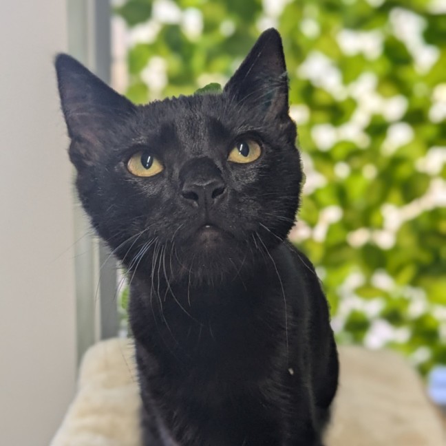 Photo of 🍳 Scramble 5731 🍳