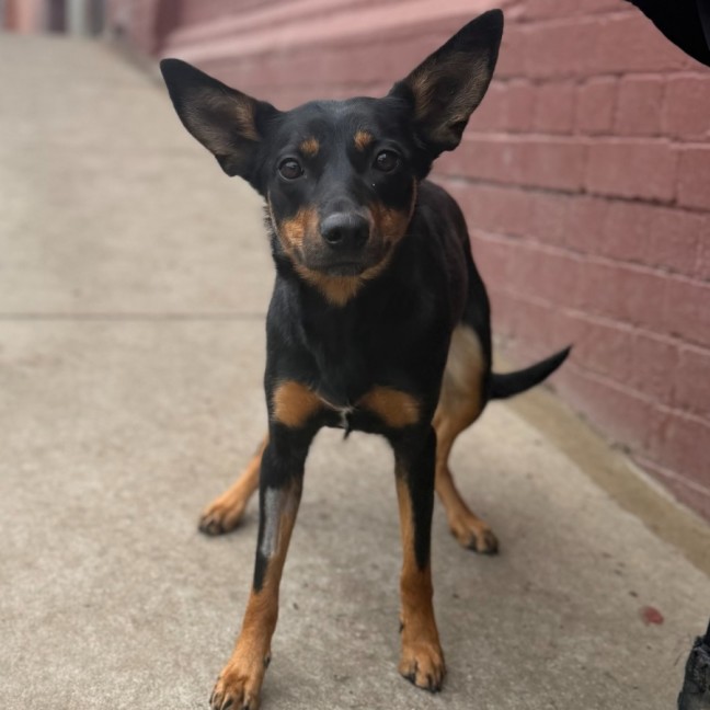 Photo of Coco