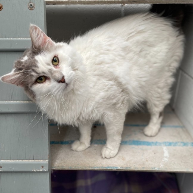 Photo of Storm