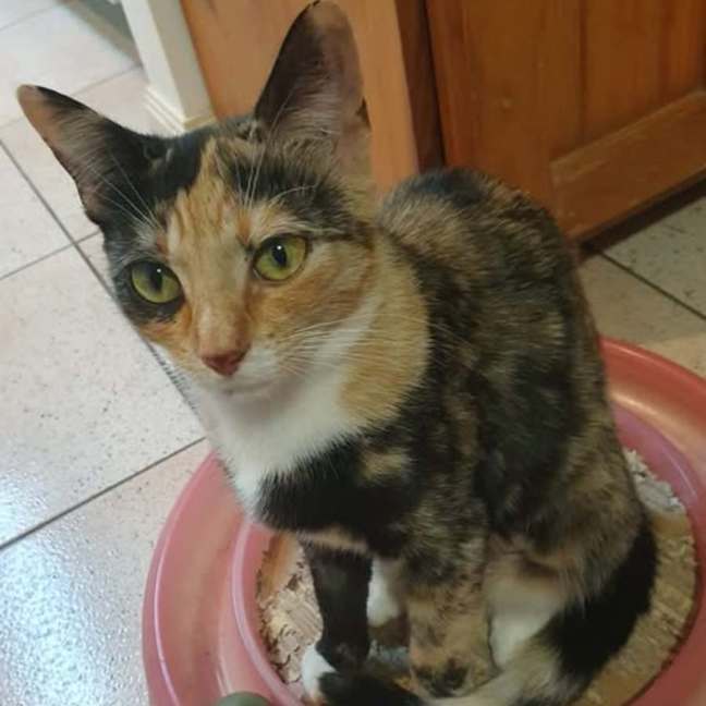 Photo of Lucy