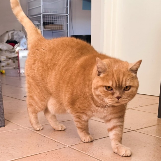 Photo of Fergus