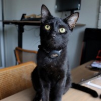 Photo of Nix