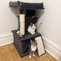 Photo of Mazzy