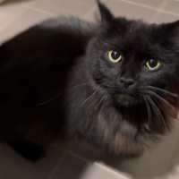 Photo of Morticia