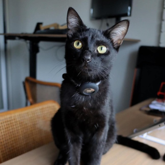 Photo of Nix
