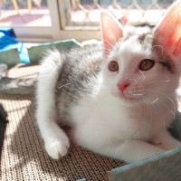 Photo of Frankie