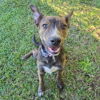 Photo of Kiwi