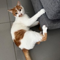Photo of Tom 