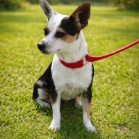 Photo of Wanda