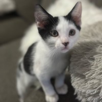 Photo of Parker 🧡💙