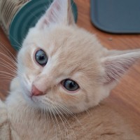 Photo of Aldi Special