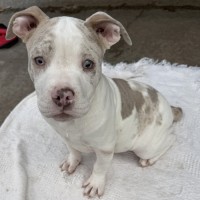 Photo of Gloria