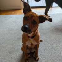 Photo of Athena