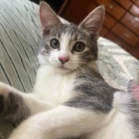 Photo of Xena