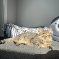 Photo of Totopo