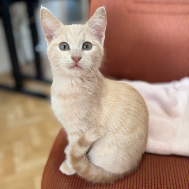 Photo of Lily
