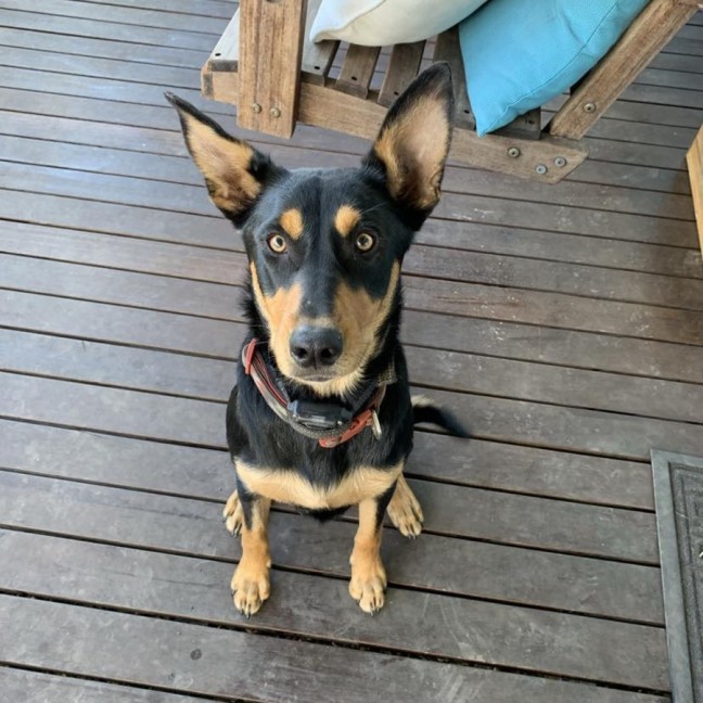Photo of Narla