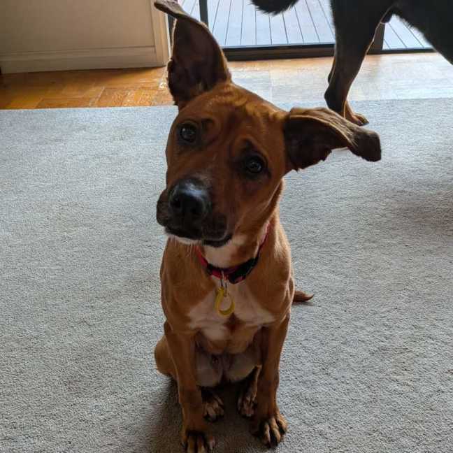 Photo of Athena