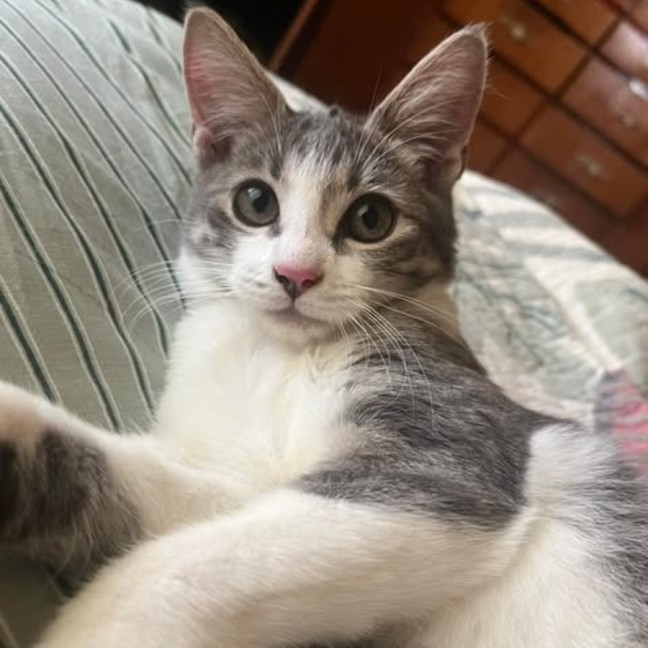 Photo of Xena