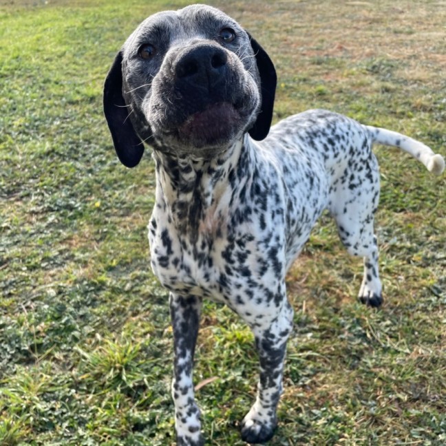 Photo of Bonnie
