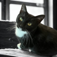 Photo of Meg