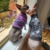 Photo of (Kat) Von D