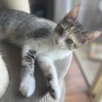 Photo of Maggie May