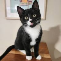 Photo of Alice
