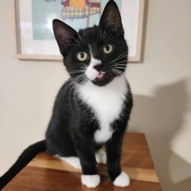Photo of Alice