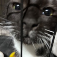Photo of Socks 🧦 