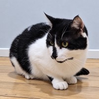 Photo of Hunter