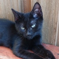 Photo of Charlie