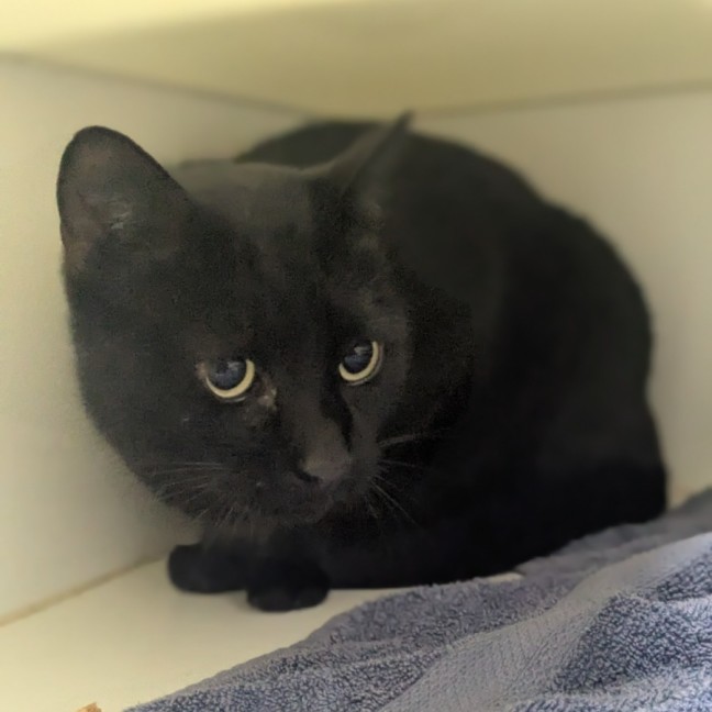 Photo of 🍤 Luca 6216 🍤