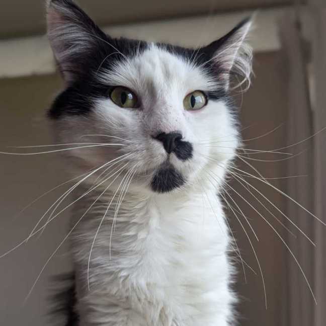 Photo of Dakota